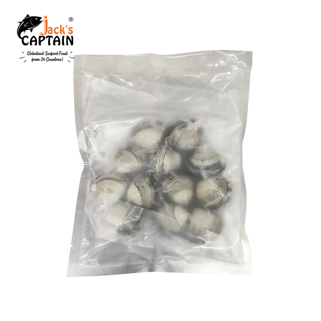 Frozen Cooked White Shellfish,(12pcs±1),1lb*20,CJ,CN - Jack & King's